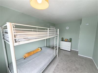 Picture 20